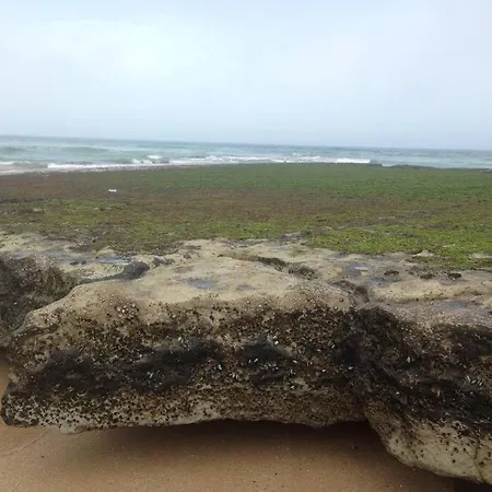Ocean 11 Homestay Carvoeira